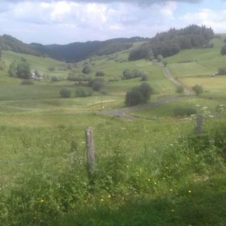 Chalet En Pleine Nature Pour 12 Personnes Besse-et-Saint-Anastaise Exterior foto